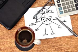 Choosing the Right SEO Tool